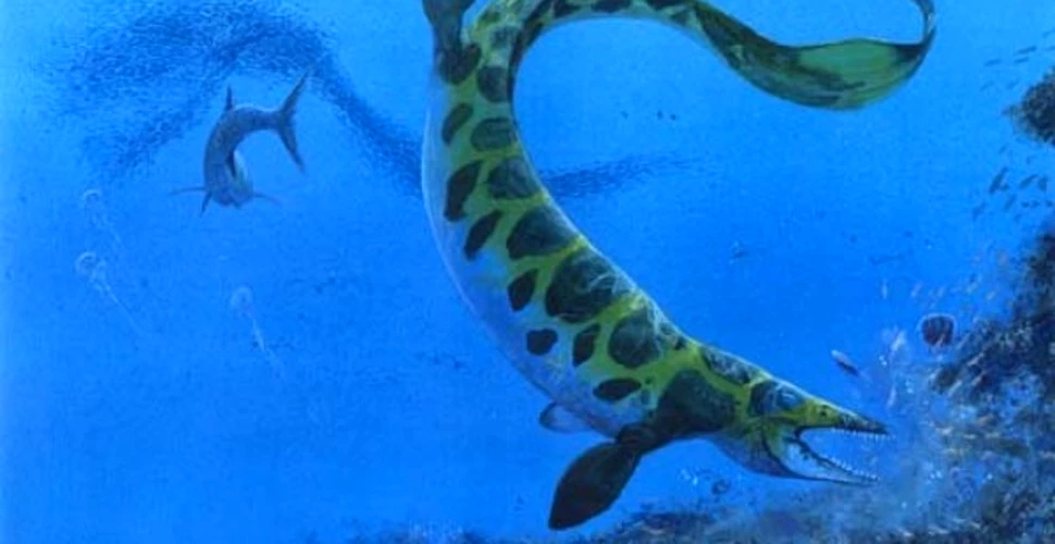Cum inota un monstru marin preistoric?