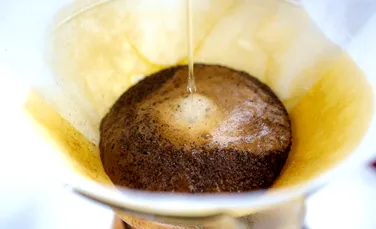 Microalgele hrănite cu zaț de cafea pot produce biodiesel cu emisii scăzute