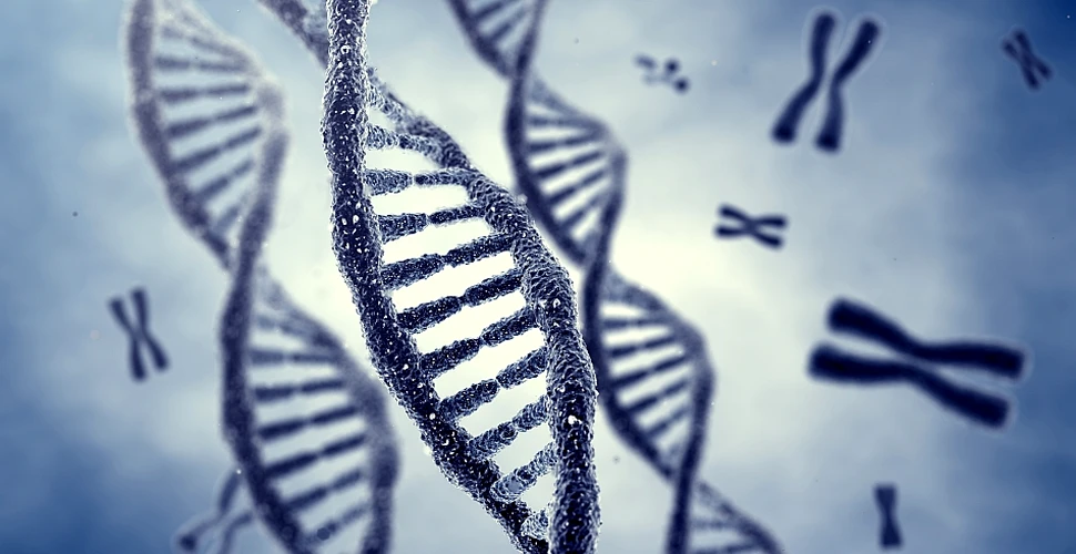 Un nou studiu arată că europenii prezintă cele mai multe mutaţii genetice nocive