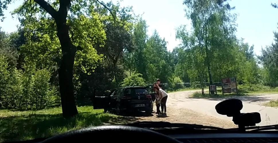 VIDEO Au ieşit din maşină într-un parc safari pentru a vedea de aproape animalele, însă la scurt timp unul dintre gheparzi a început să alerge spre ei