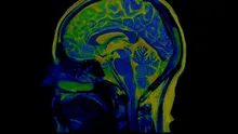 Pentru prima dată, cercetătorii au cartografiat circuitul cerebral prin care stresul afectează somnul și memoria