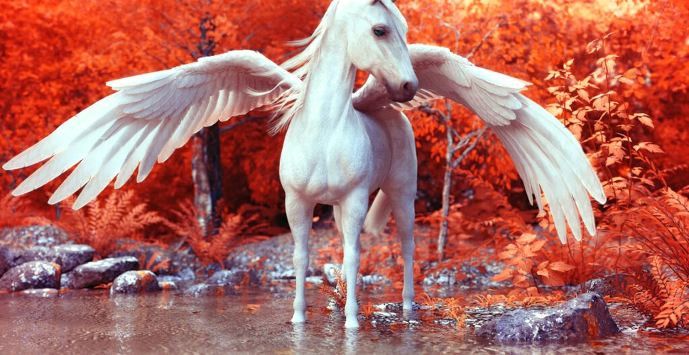 Test de cultură generală. Cum se numește calul înaripat din mitologia greacă?