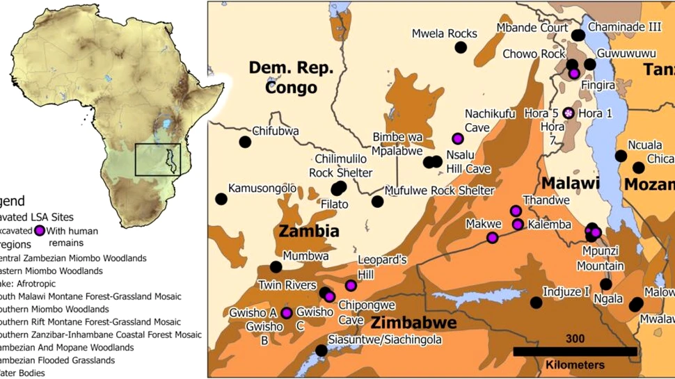 Un schelet fără cap, vechi de 9.500 de ani, este cel mai vechi adult incinerat din Africa