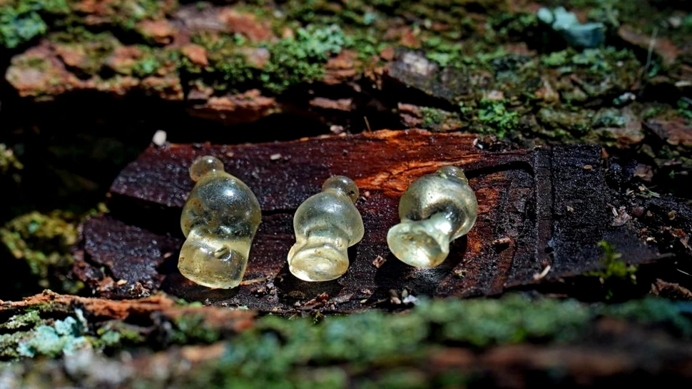 Pandantive de sticlă unice din epoca scitică au fost găsite în Ucraina