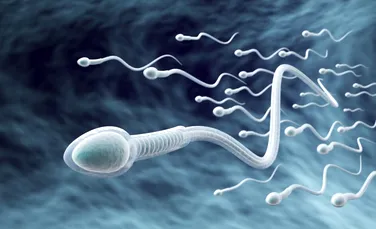 De ce ejaculările frecvente sunt importante pentru sănătate?