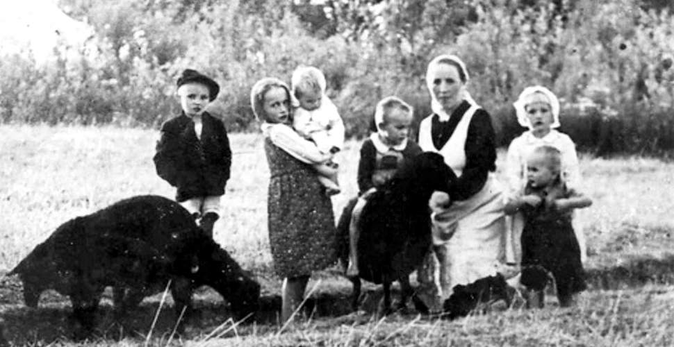 Biserica Catolică va beatifica o familie poloneză, inclusiv un nou-născut, ucisă de naziști