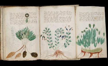Cea mai misterioasă carte din lume, Manuscrisul Voynich, ar putea fi rezultatul unei farse elaborate