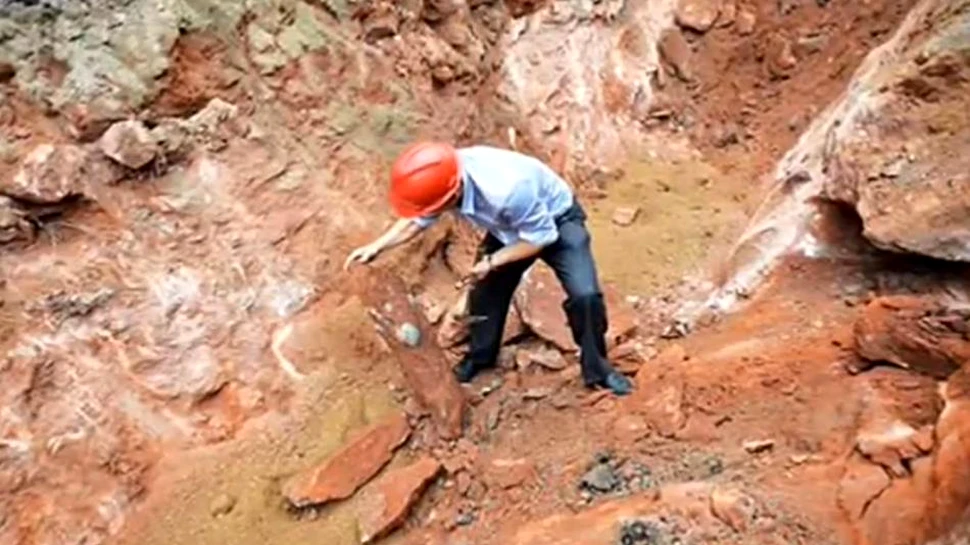 Zeci de ouă de dinozaur au fost descoperite din întâmplare în centrul unui oraş din China – VIDEO