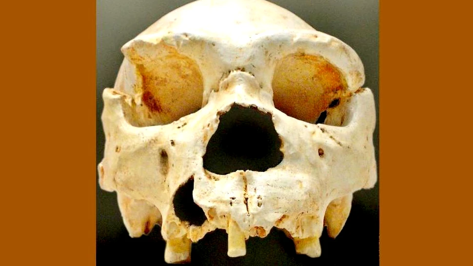 O boală infecţioasă a dus la decimarea oamenilor primitivi. Cum a supravieţuit specia umană?