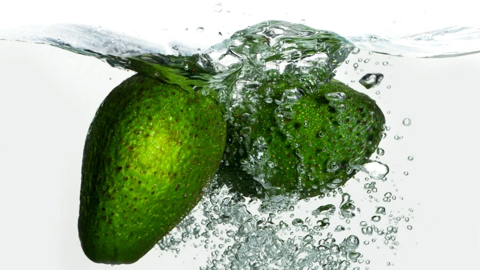 Agricultura Europei se schimbă: motivul pentru care am putea crește avocado în loc de castraveți