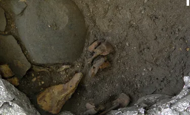 Rămășițele unui copil dezmembrat dezvăluie o practică de înmormântare sinistră de acum 8.000 de ani