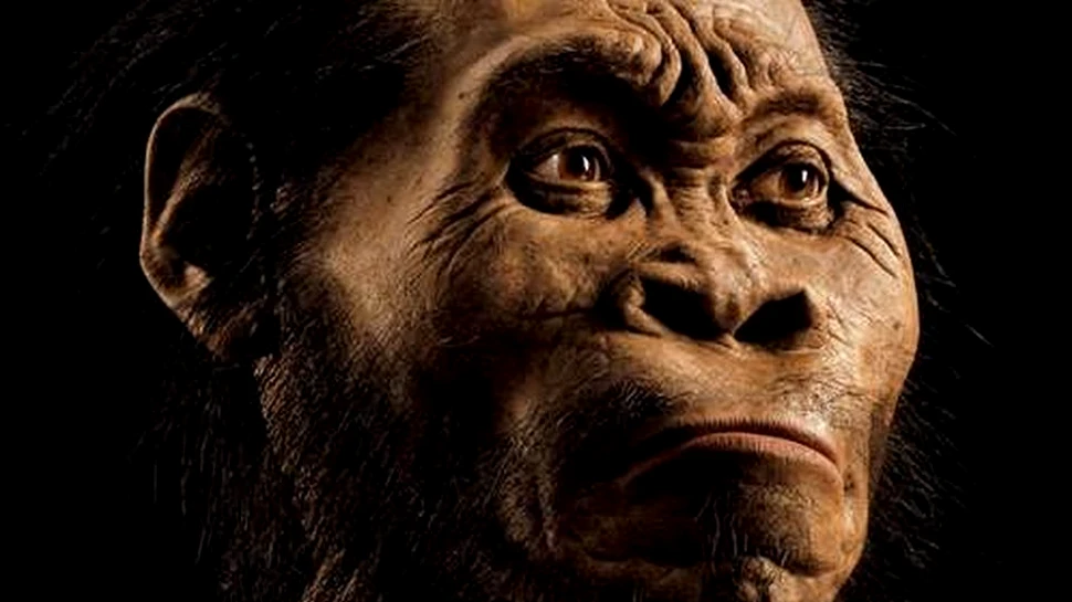 Descoperirea care explică apariţia oamenilor