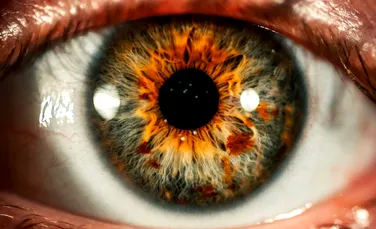 Un medicament pentru cataractă a arătat rezultate promițătoare în testele de laborator