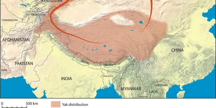 „Mumiile” înghețate ale Imperiului Mongol, dezvăluite de permafrostul care se topește