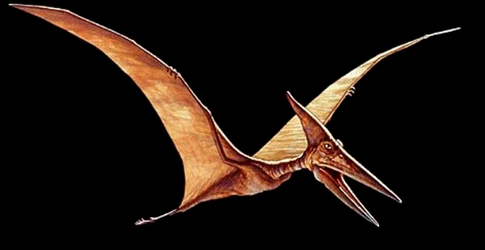 Pterosaurii uriasi puteau zbura de la un continent la altul