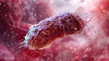 Cofeina ar putea face E. coli mai rezistentă la antibiotice