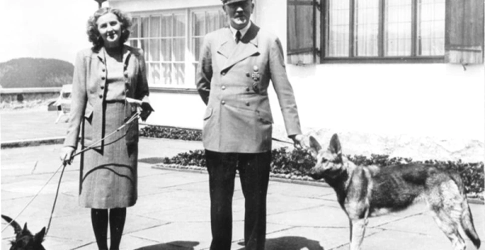 Naziştii au vrut să creeze o armată de câini capabili să scrie şi să vorbească!