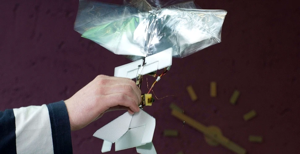 Cea mai mică „insectă-dronă” din lume, invenţia incredibilă a olandezilor. Ce poate face (FOTO/VIDEO)
