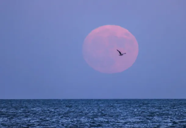 Super Luna surprinsă în imagini din întreaga lume