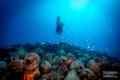 O faimoasă epavă din Grecia va fi transformată într-un spectaculos muzeu subacvatic