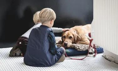 Terapia cu ajutorul câinilor, tot mai căutată în ultimul timp pentru copiii care suferă de autism