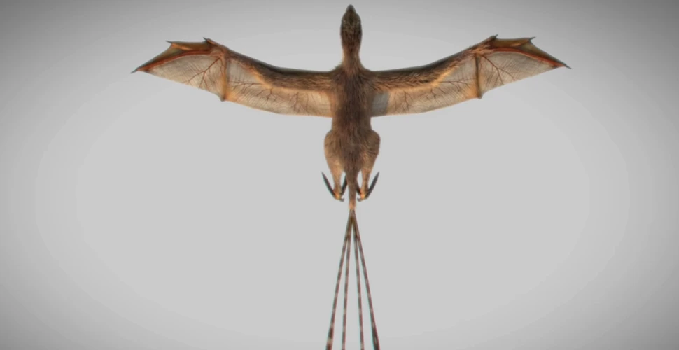 Descoperirea unei fosile de dinozaur asemănătoare liliacului oferă detalii neştiute depre evoluţia păsărilor