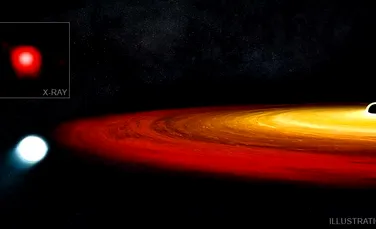 Astronomii au surprins o gaură neagră care a devorat atmosfera unei stele, lăsând în urmă doar nucleul acesteia