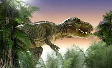 Conform ultimei descoperiri, ”mânuţele” lui T. Rex nu erau atât de ”nevinovate” pe cât se credea, spre norocul lui şi spre ghinionul altor animale