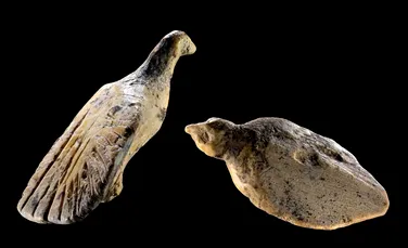 Ce dezvăluie două figurine din fildeș, vechi de 40.000 de ani, despre arta din Era Glaciară?