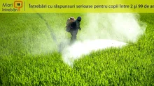 Care este cea mai periculoasă substanță din lume?