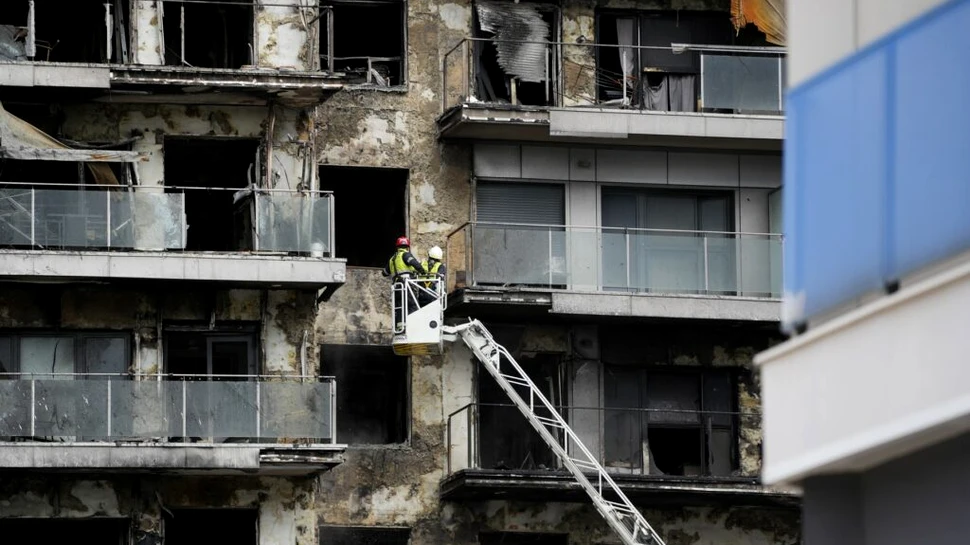 O pisică a fost găsită în viață la 8 zile după incendiul devastator din Valencia