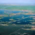 Dezastru ecologic într-un paradis al păsărilor din SUA. Ce s-a întâmplat?