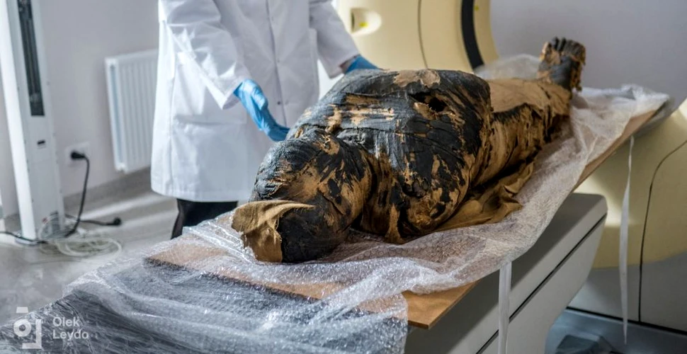 Singura mumie însărcinată descoperită până acum