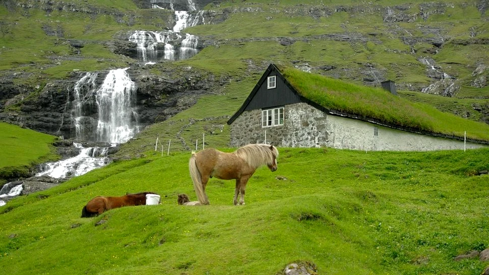 Cinci modalităţi de a călători ieftin în orice oraş din lume