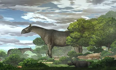 O nouă fosilă dezvăluie unul dintre cele mai mari animale terestre din istoria Pământului
