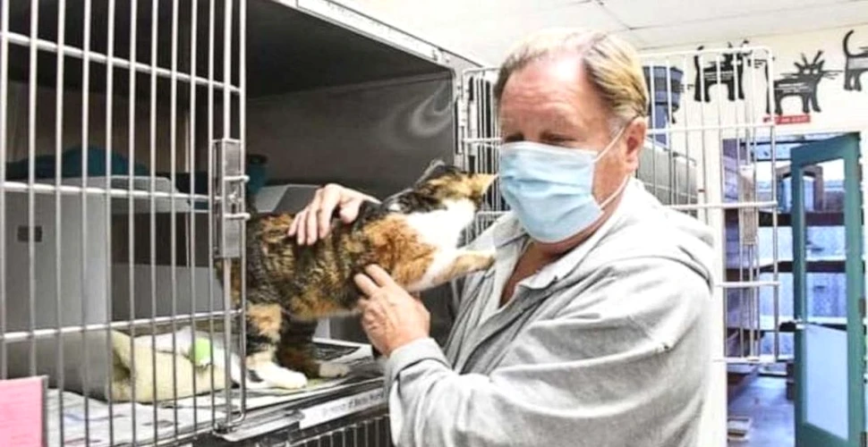 O pisică pe care toți o credeau moartă, regăsită după trei ani, în SUA
