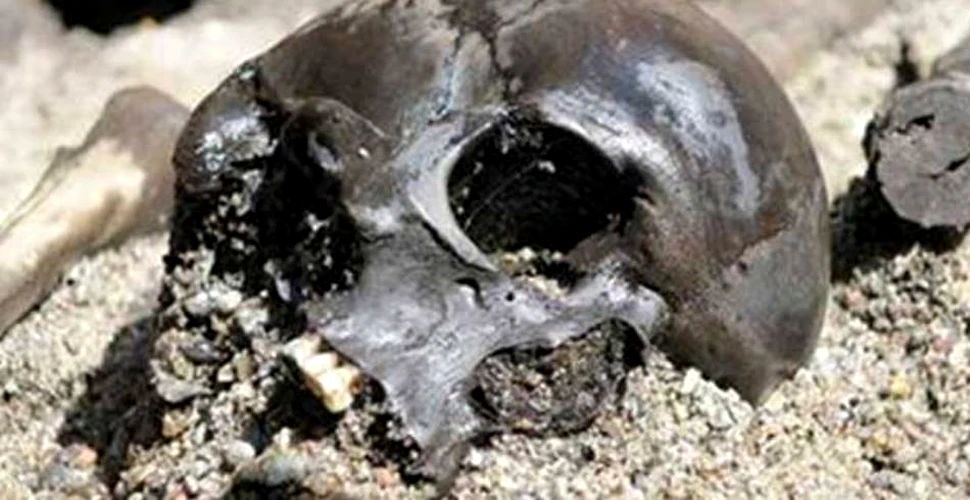 O armată de sute de schelete a fost descoperită într-o mlaştină din Danemarca