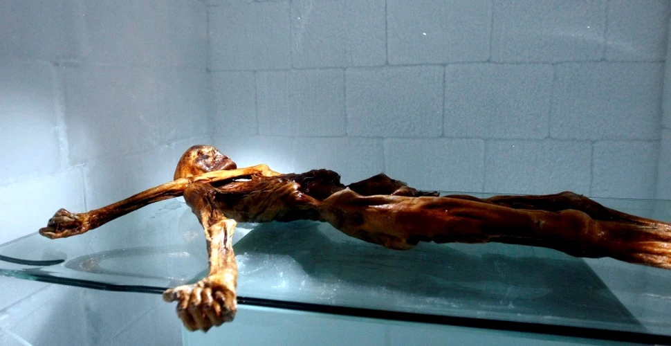 Ötzi, preistoricul „Om al gheţurilor”, are rude în viaţă!