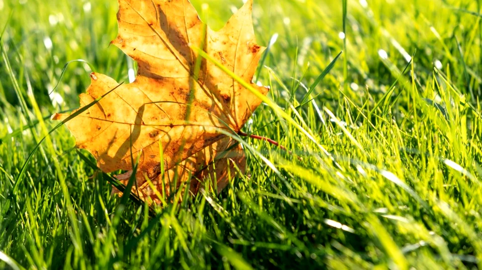 Cum va fi vremea în septembrie? Meteorologii anunță că nu scăpăm de căldură