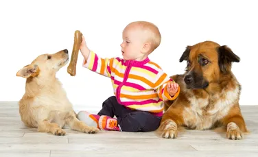 Acum e demonstrat ştiinţific: câinii sunt capabili de gelozie! Ce au descoperit cercetătorii