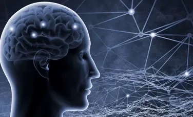 Au fost descoperite primele dovezi ale existenţei unui sistem de ”curăţare” a creierului
