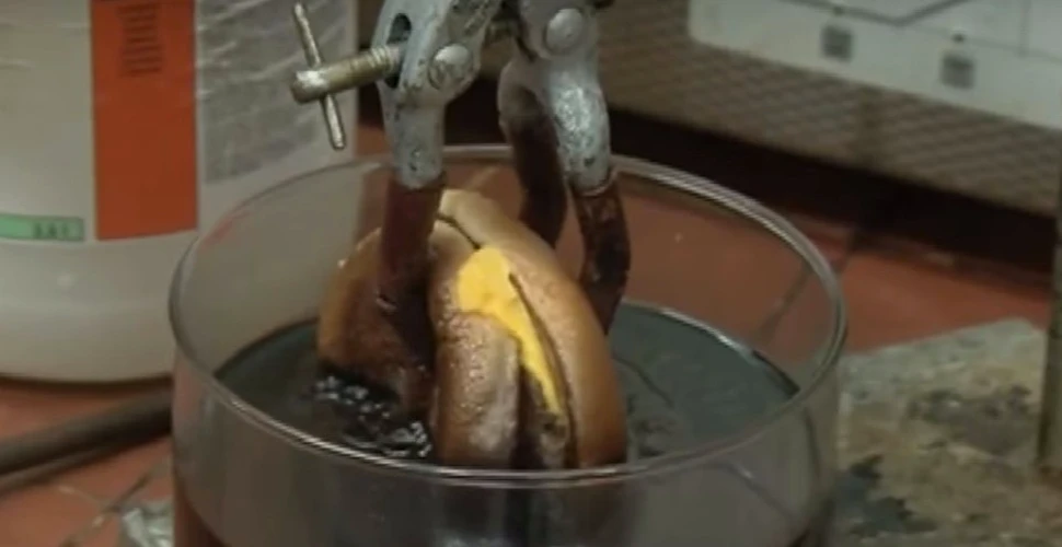 Ce se întâmplă dacă pui un cheeseburger în acid hidrocloric. VIDEO