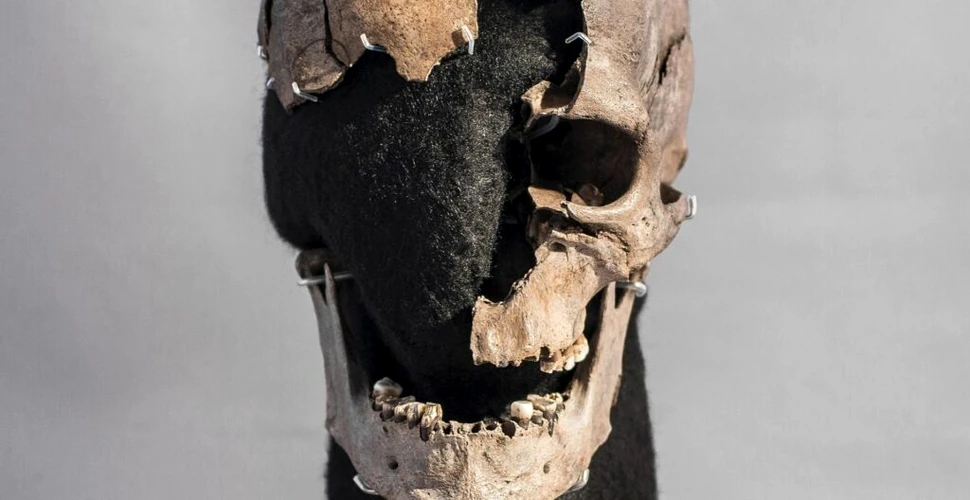 Povestea „Omului din Vittrup”, elucidată după mai bine de 5.000 de ani