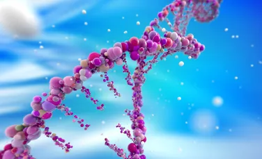 ADN-ul circular, responsabil de rezistenţa tumorilor