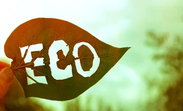 Atenție la etichetele „eco” pentru că nu înseamnă întotdeauna ceea ce credem