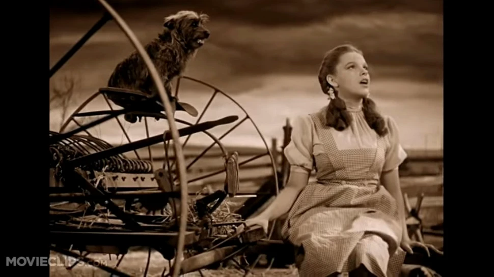 Pantofi purtaţi de Judy Garland în „Vrăjitorul din Oz”, recuperaţi de poliţie după 13 ani