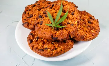 Un nou studiu a găsit un risc serios pentru consumul de alimente cu canabis