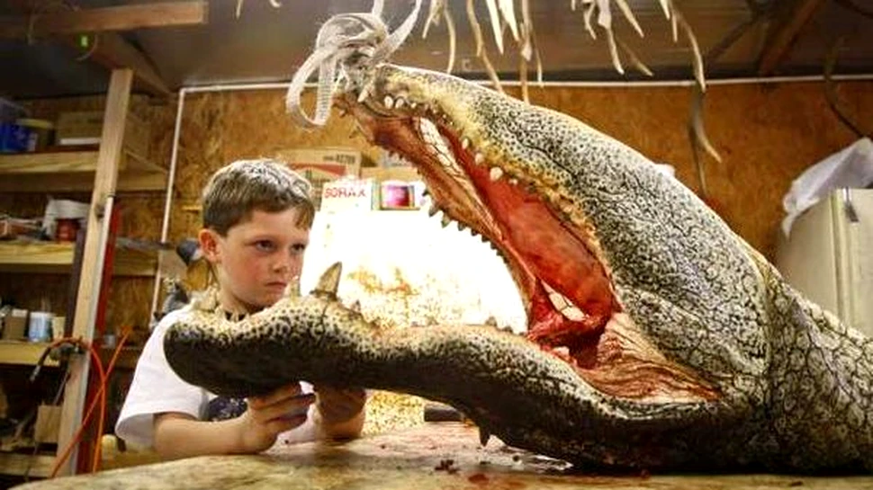 Un baiat de cinci ani din Texas a ucis un aligator de 360 kilograme