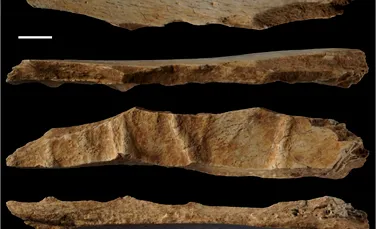 Oamenii purtau haine de piele în urmă cu 39.000 de ani