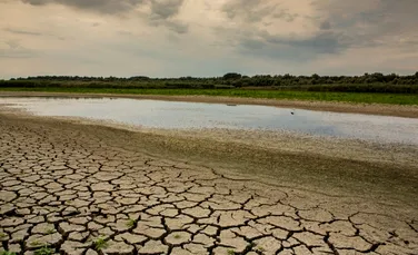 Industria agricolă din România a trecut printr-un an dezastruos